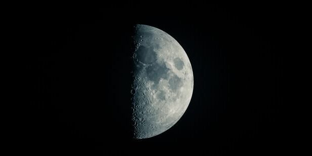 thf-1789273824320-0