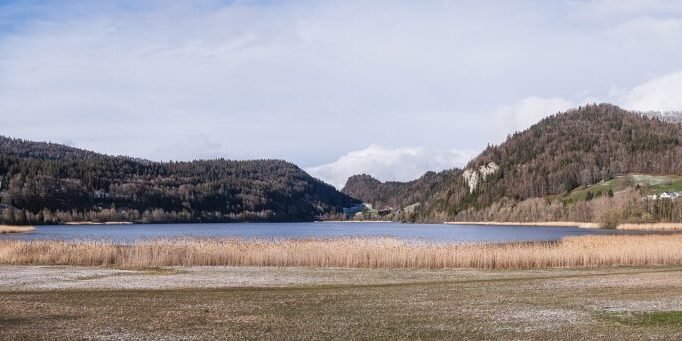 Lac Brenet in winter with reed beds and forested mountains under cloudy skies